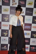 Sameera Reddy at Radio Mirchi music awards red carpet in Mumbai on 7th Feb 2013 (152).JPG